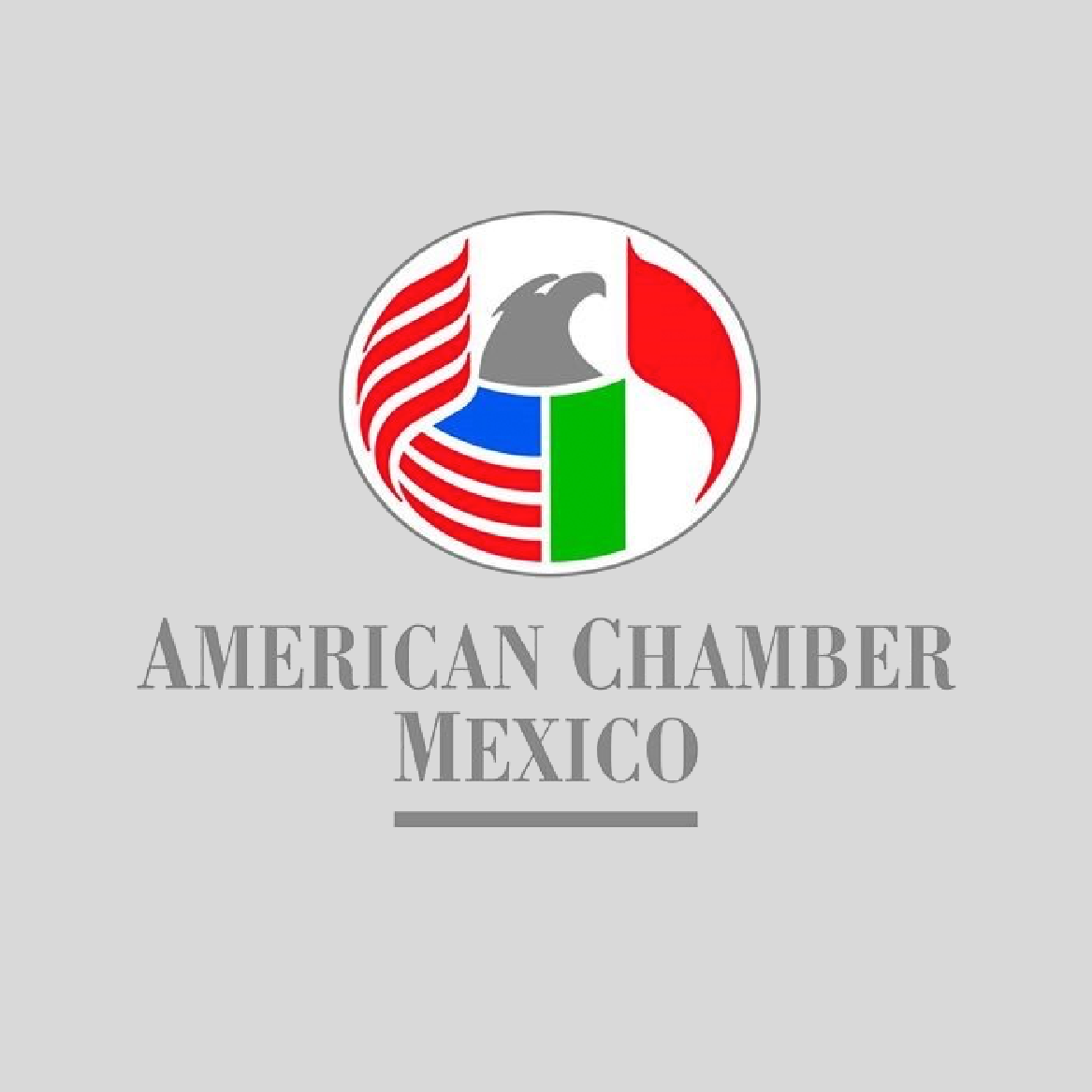 American Chamber of Commerce