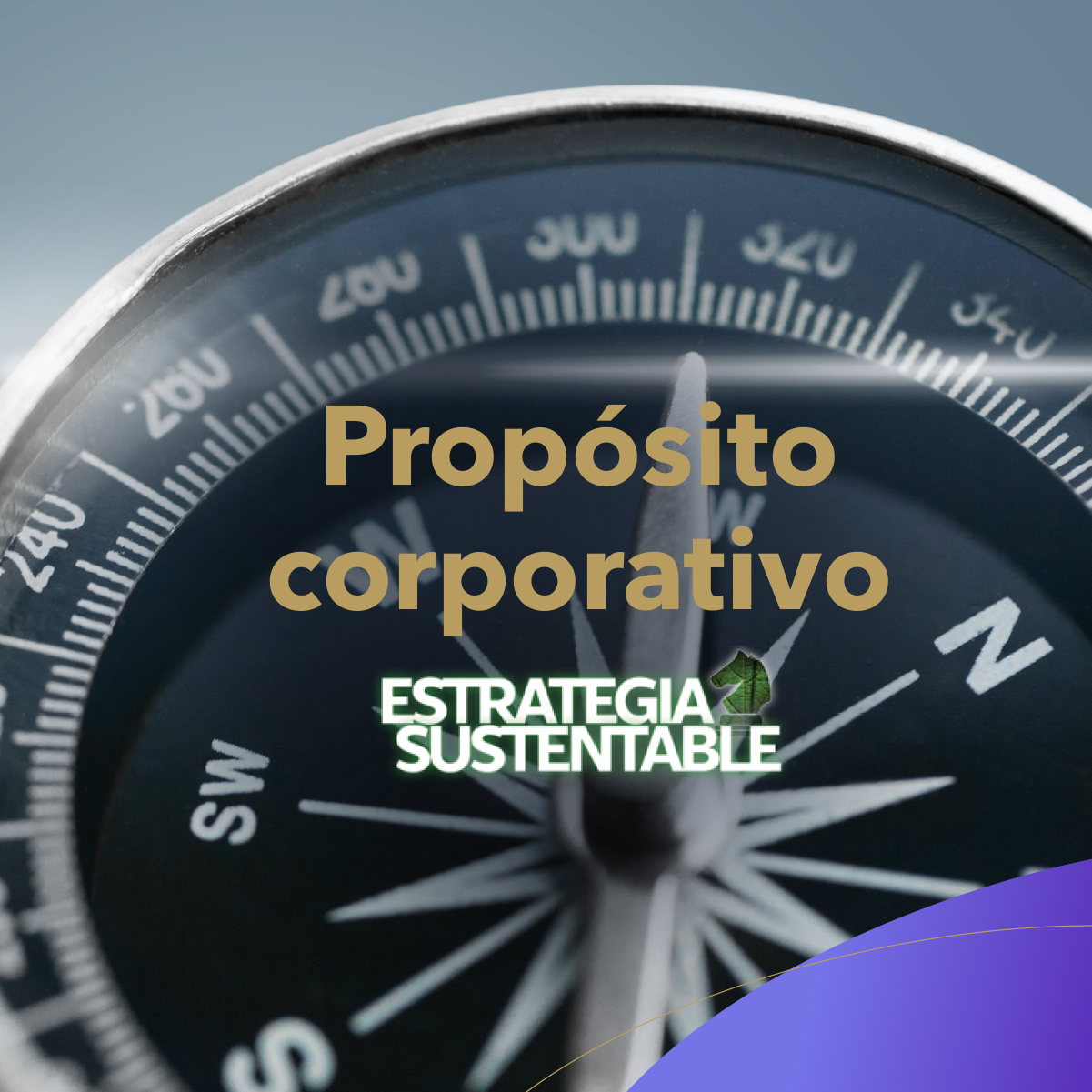 Propósito Corporativo: El Alma De Las Organizaciones